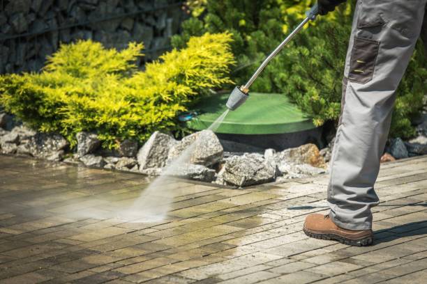 Best Animal Enclosure Cleaning  in Smyrna, TN